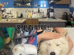 -OZ cafe(南昌路店)