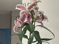 -卡罗酒店(东门晒布地铁站店)