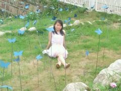 -紫颐香薰山谷景区