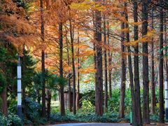 -苏州河梦清园环保主题公园