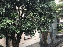 -徐家汇源景区-衡山坊