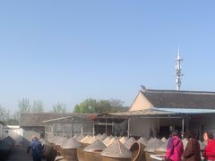 -苏州市吴中区光福窑上花果蜜饯厂