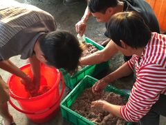 -浪琴湾尾角仔海鲜坊