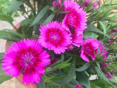 -广东茂名森林公园