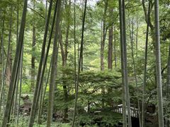 -东明山森林公园