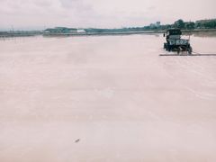 -莺歌海盐场