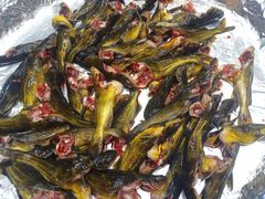 -星湖特色餐厅· 三岔湖环球融创天堂洲际酒店