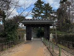 -名古屋城