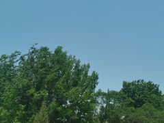 -廊坊市自然公园