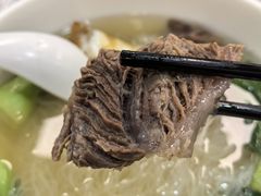 红烧牛肉冬粉-台北楚楚园馅饼粥(虹桥南丰城店)