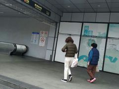 -桃浦新村(地铁站)
