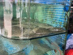 -新农都水产市场
