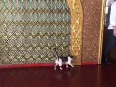 -维吾尔餐厅(宜山路店)