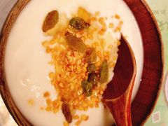 特色酸奶-新疆兵团食府清真(马连道店)