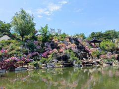 -威海华夏城景区