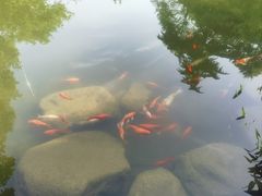 -中国茶叶博物馆(双峰馆区)