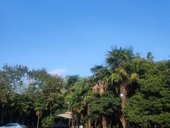 -水上明月·湖景餐厅