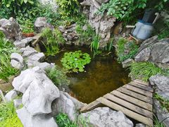-美味之家·湖景农家乐(太湖东山店)