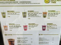 -油梨树AVOCADO TREE(望京店)