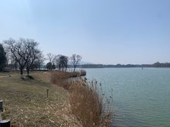 -苏州太湖国家湿地公园