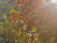 -浙江万里学院(钱湖校区)