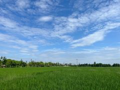 -嘉北郊野公园