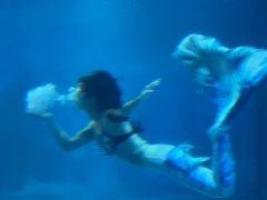 -成都浩海立方海洋公园