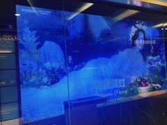 -海马体照相馆|大师(北京华贸中心店)