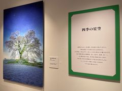 -西武百货(池袋总店)