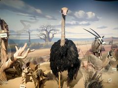 -陕西自然博物馆