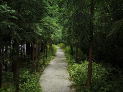 -红峡谷