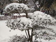-莲湖公园