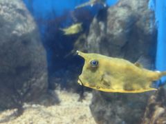-福州罗源湾海洋世界旅游区