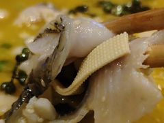 -五月花(朝阳南大街店)