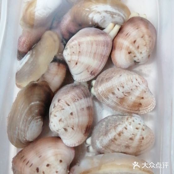 星克玛海鲜店(小食店)