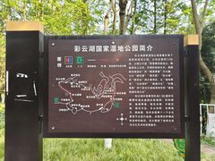 -重庆彩云湖湿地公园