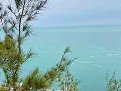 -广东惠东海龟国家级自然保护区