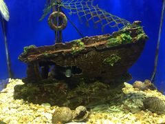 -洛阳龙门海洋馆