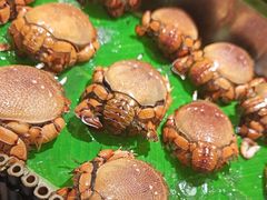 -乔哥铭洋海鲜自助(皇城恒隆广场店)