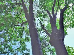 -洛阳周公庙博物馆