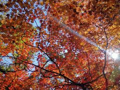 -本溪关山湖风景区