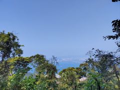 -太平山顶