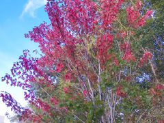 -哈尔滨文化公园