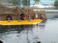 -秦皇岛乐岛海洋王国