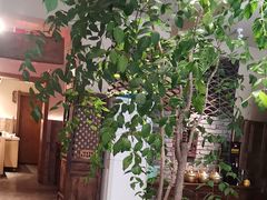 -慢丽江·云南野生菌土鸡锅(付家庄店)