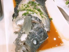 清蒸花斑鱼-精致顺德菜(琶洲店)