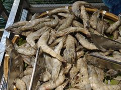 -集杰尚品海鲜烤肉自助餐厅(乳山振华店)