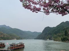 -后柳水乡