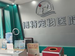 -博特宠物医院24h犬猫全科.骨科·异宠