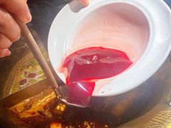 -九鼎轩脆毛肚火锅(三钢里店)